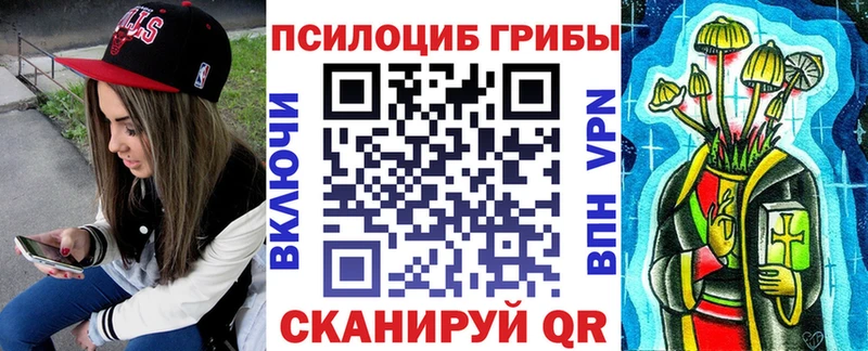 Псилоцибиновые грибы Psilocybe  даркнет сайт  Шебекино 